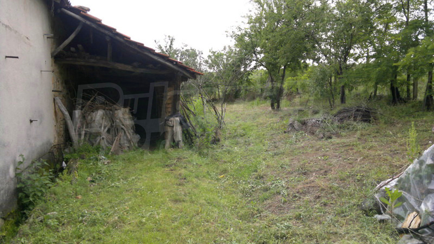 Gallery Picture 6