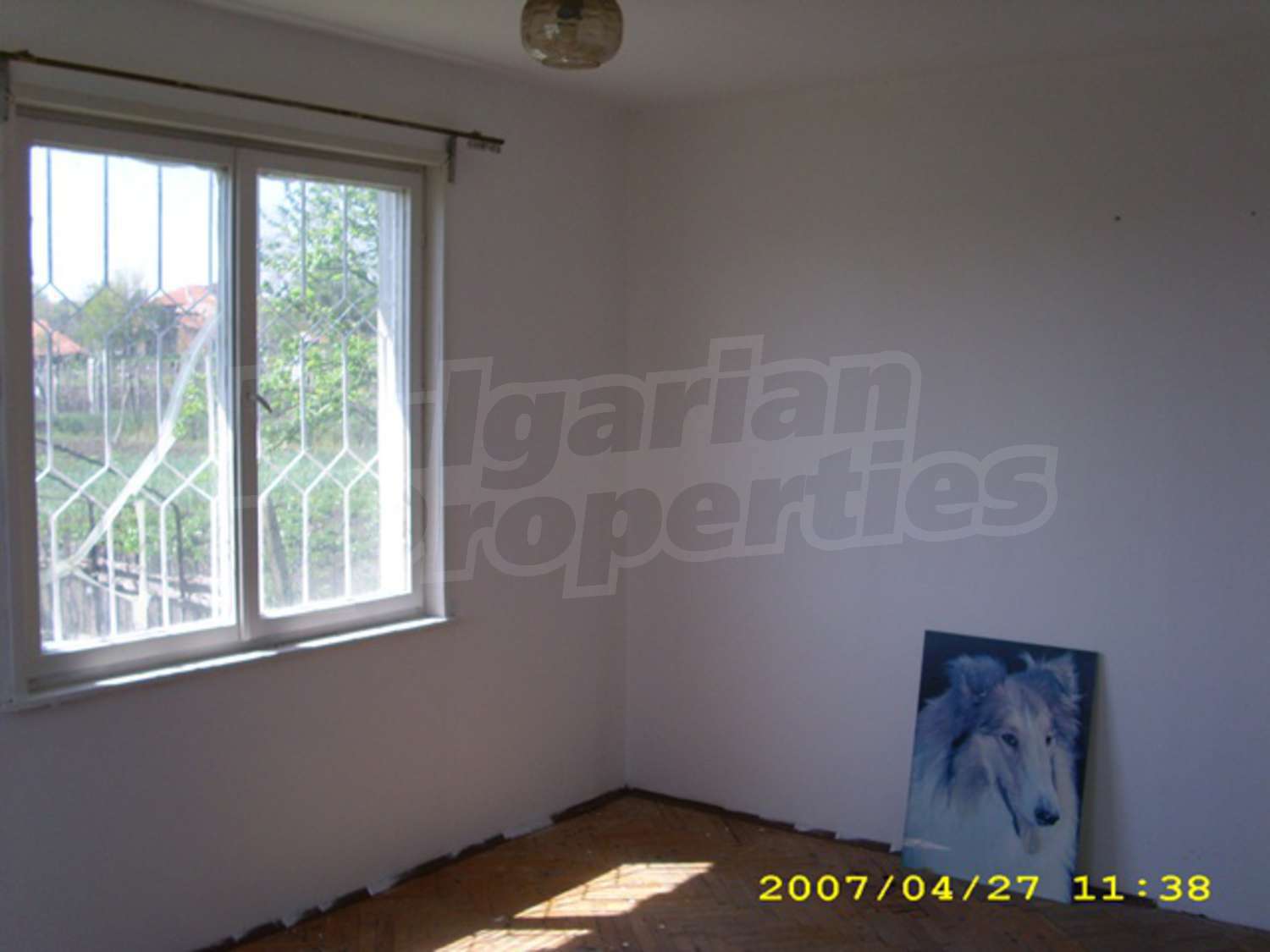 Gallery Picture 6