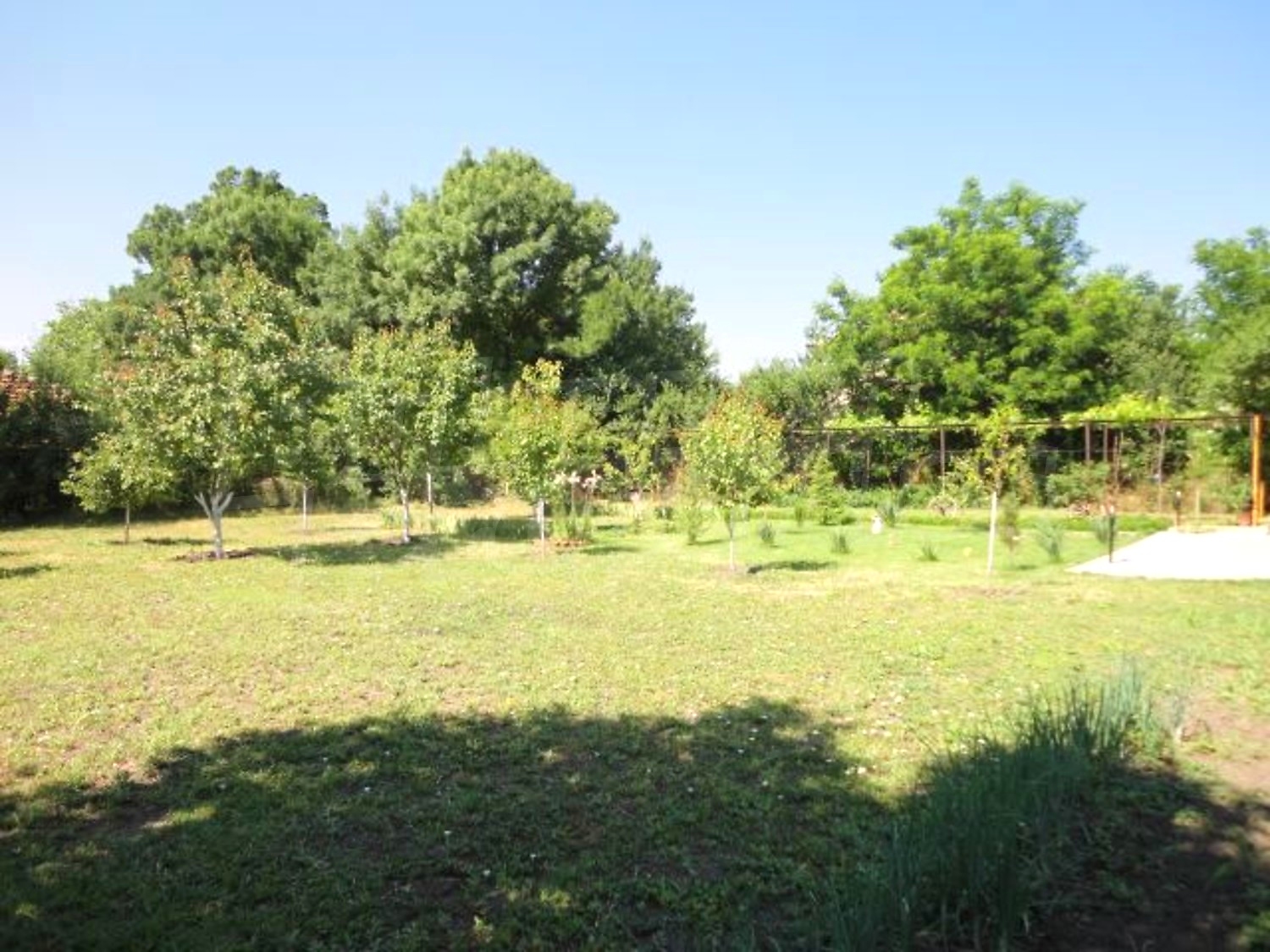 Gallery Picture 28