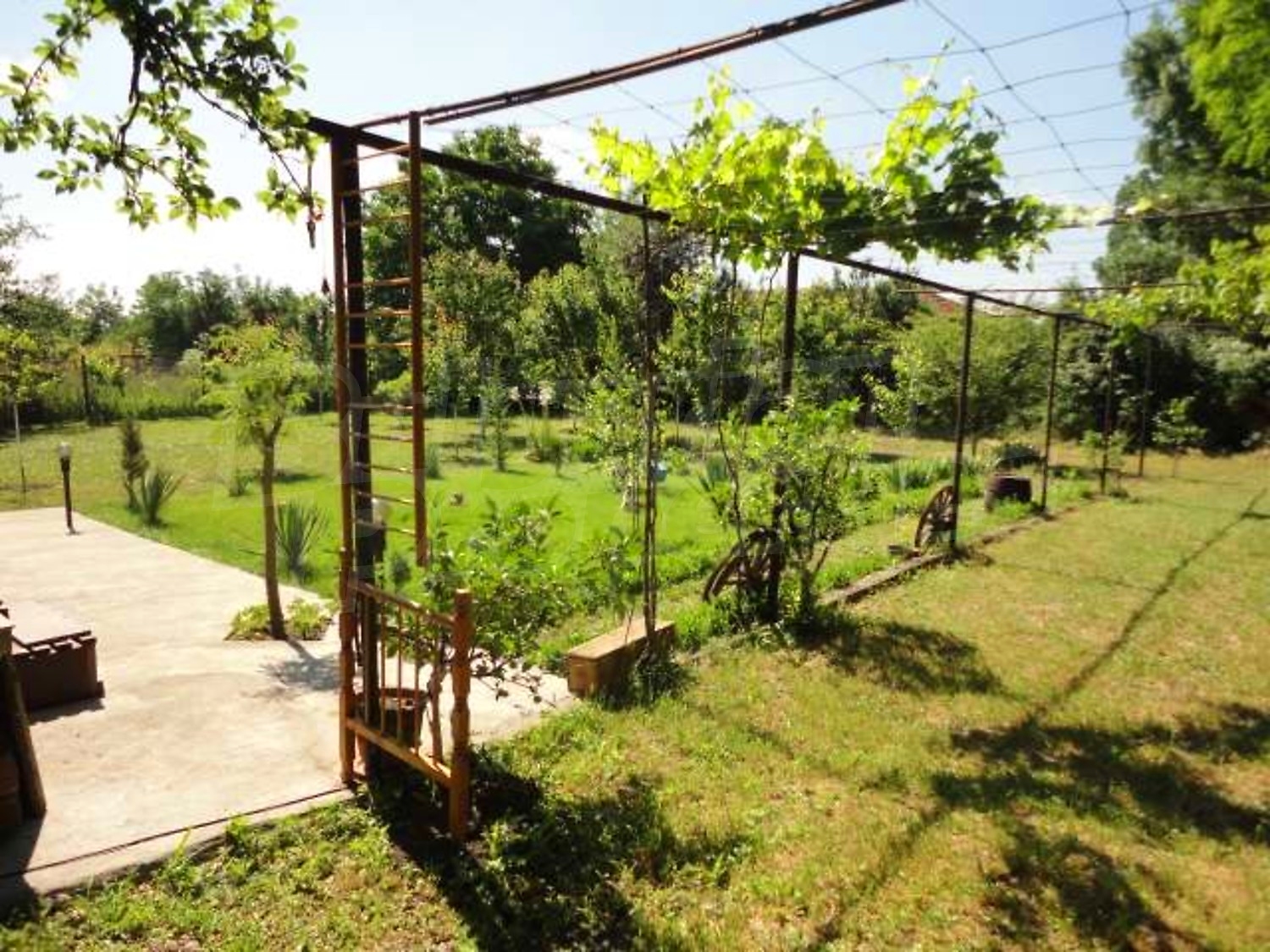 Gallery Picture 35