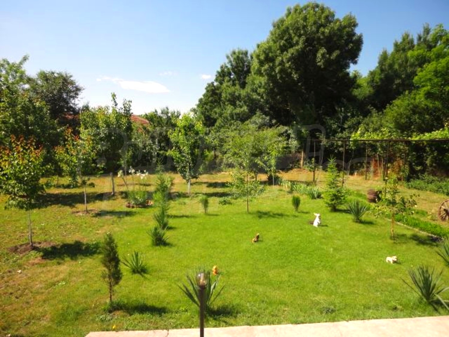 Gallery Picture 37