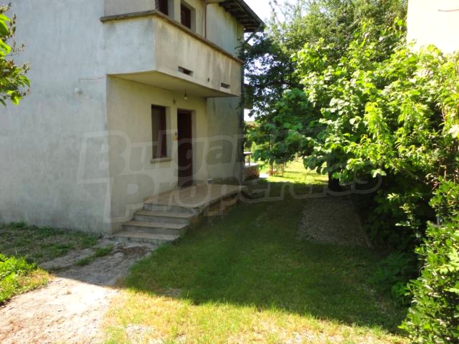 Gallery Picture 43
