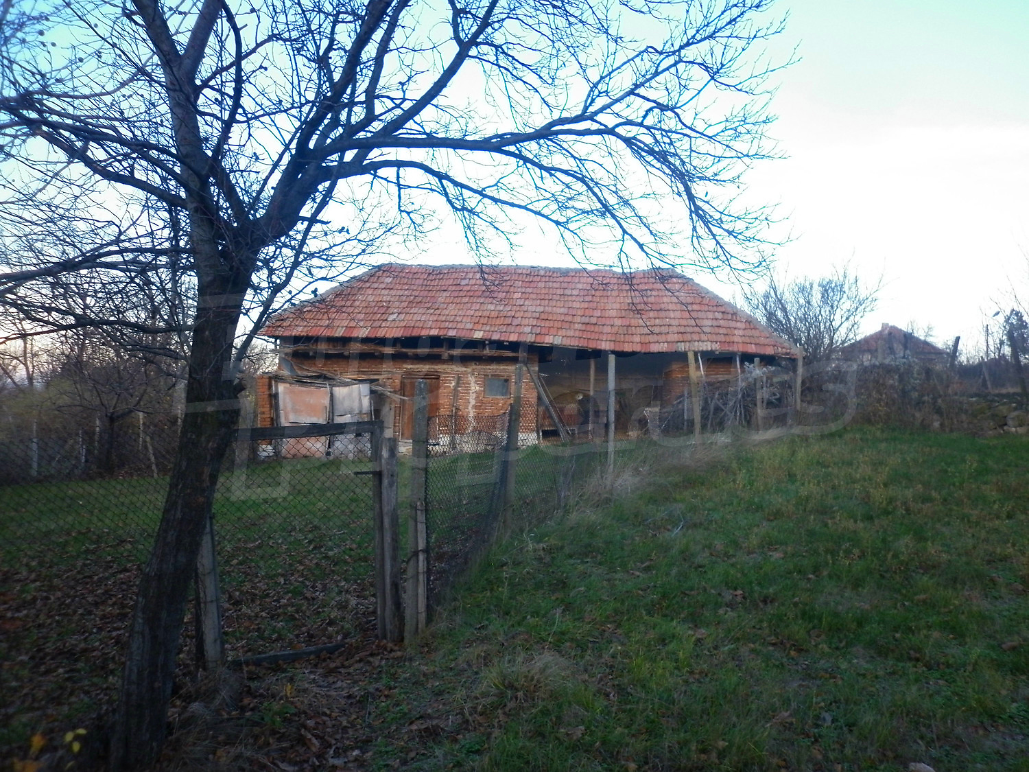 Gallery Picture 5