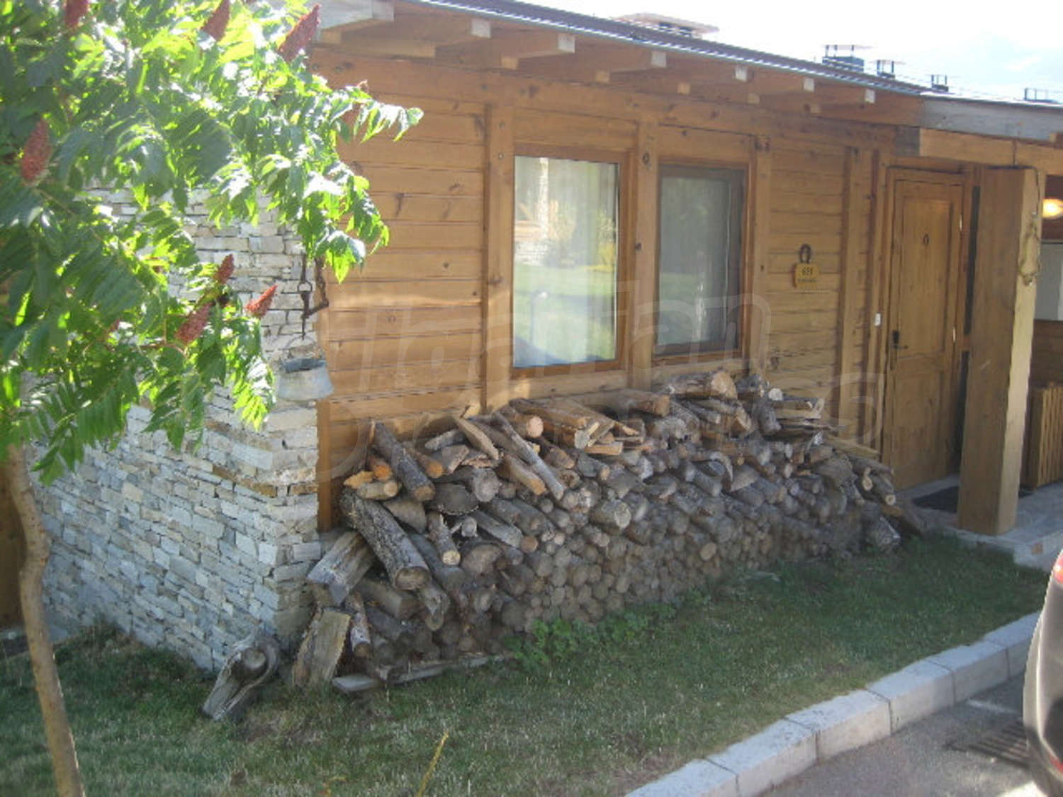 Gallery Picture 19