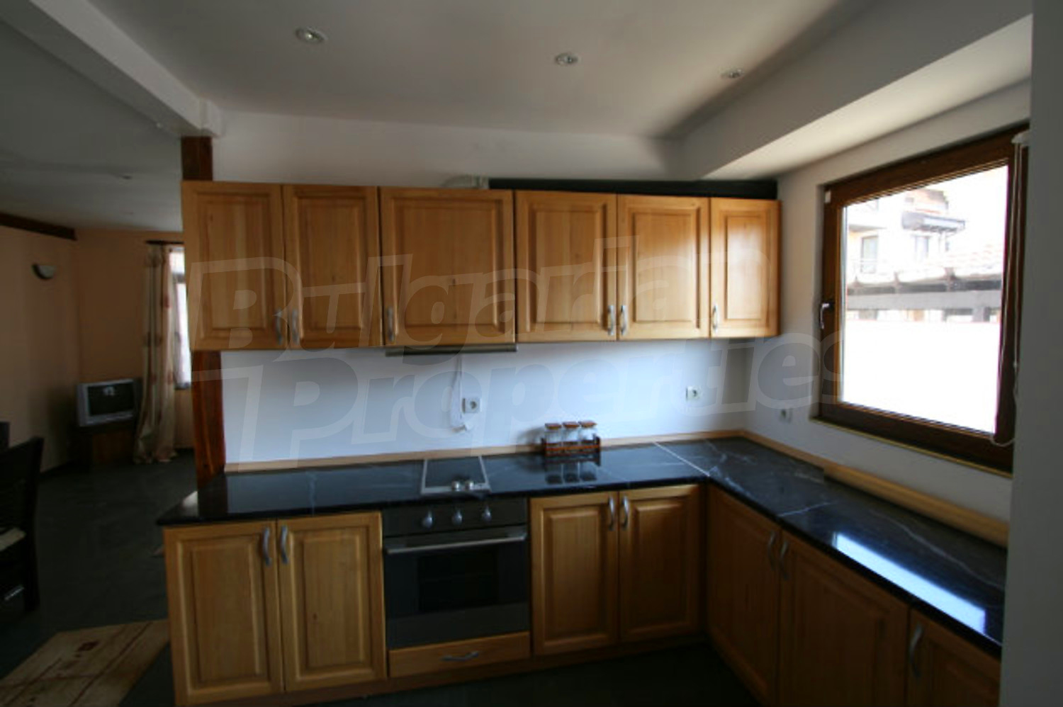 Gallery Picture 16