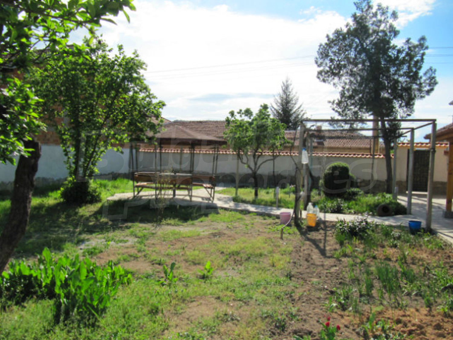 Gallery Picture 14