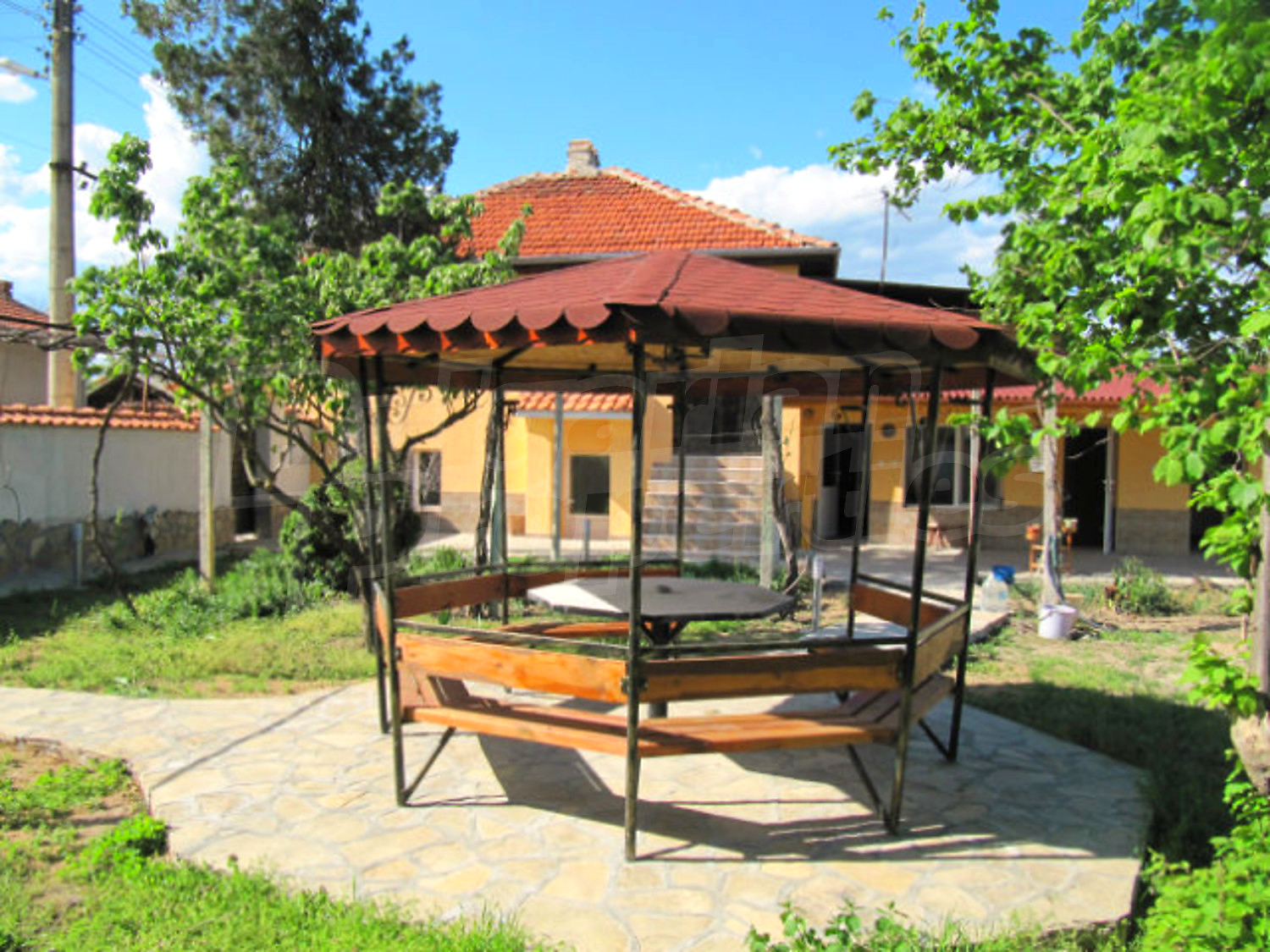 Gallery Picture 19