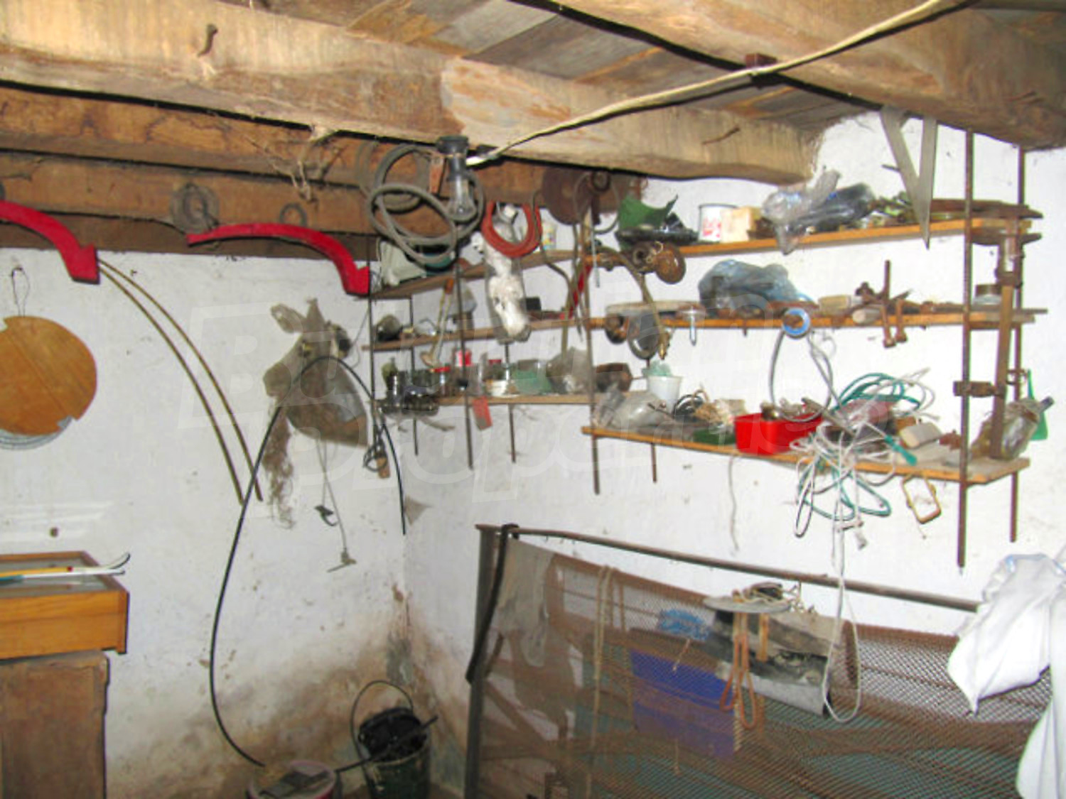 Gallery Picture 36