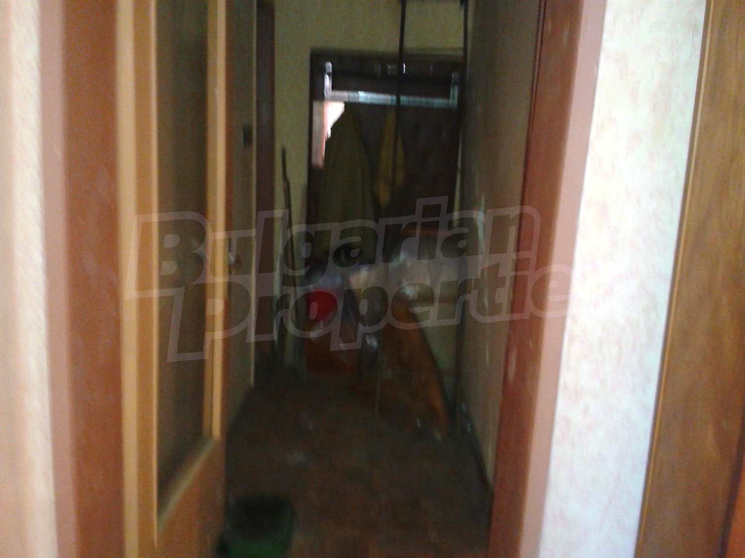 Gallery Picture 14