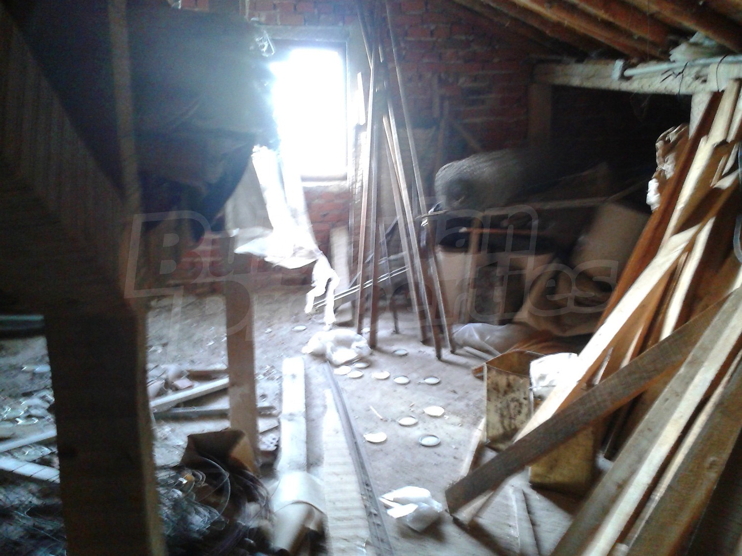 Gallery Picture 23
