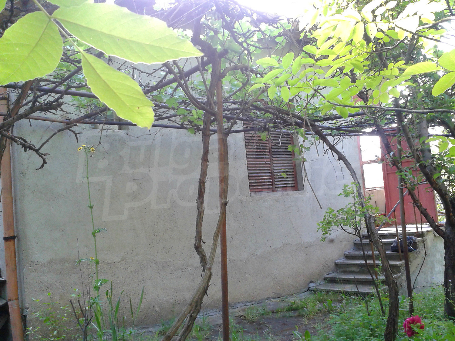 Gallery Picture 30