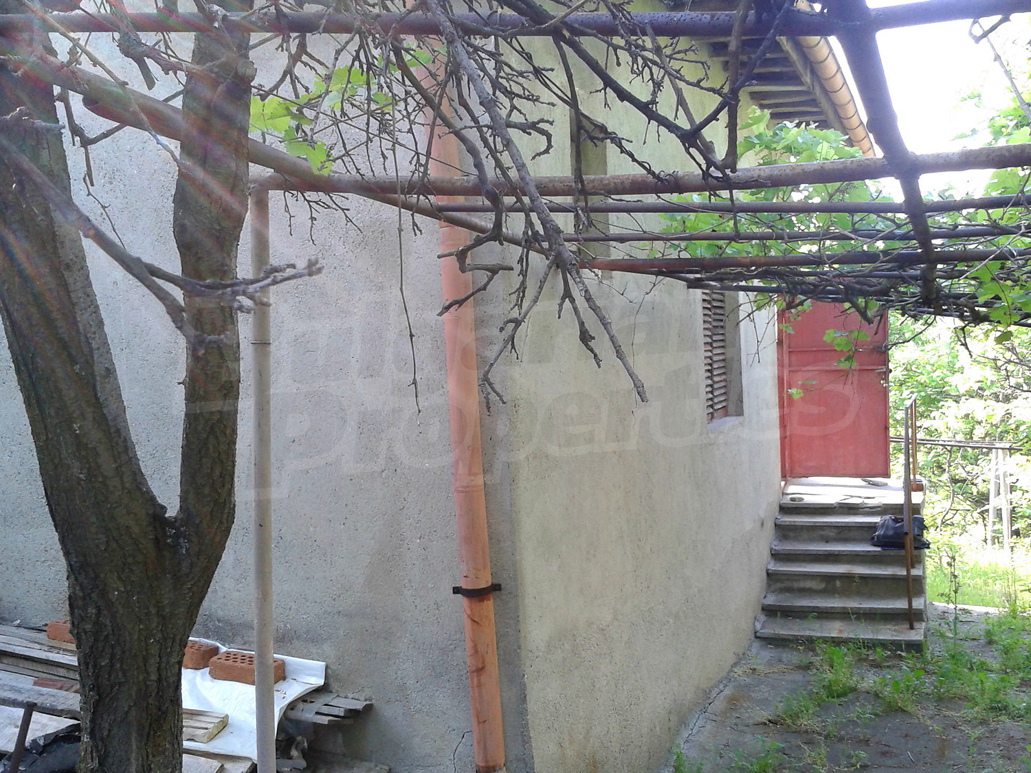 Gallery Picture 33