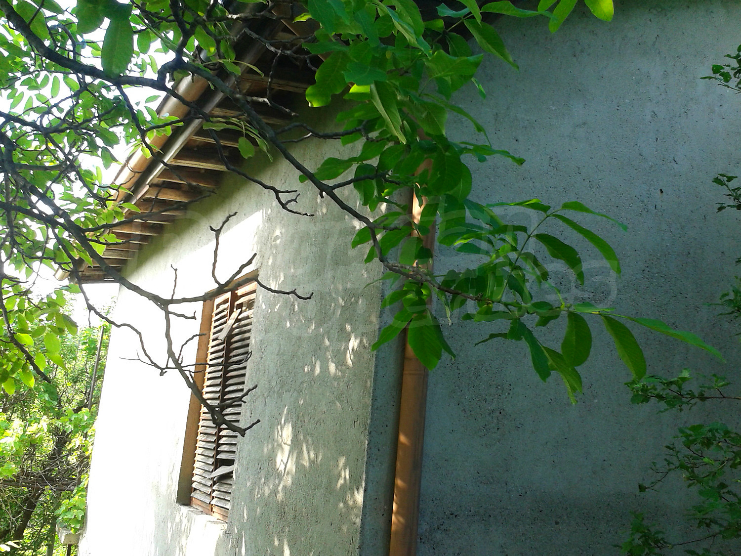 Gallery Picture 37