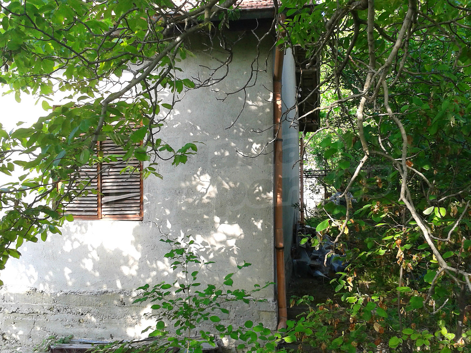Gallery Picture 39