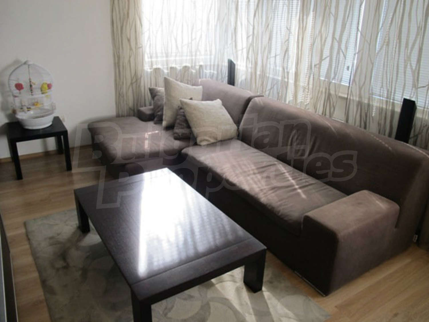 Gallery Picture 8