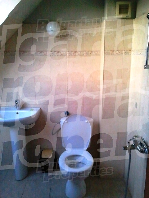 Gallery Picture 13