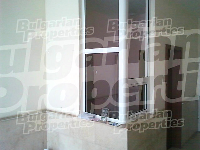 Gallery Picture 15