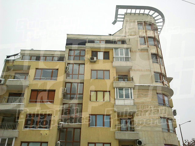 Gallery Picture 21