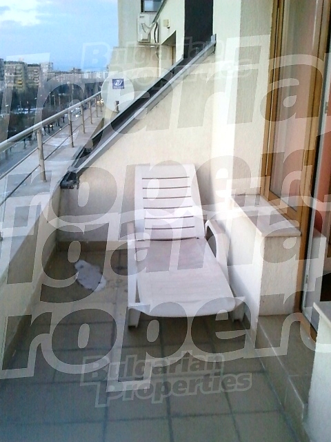 Gallery Picture 6