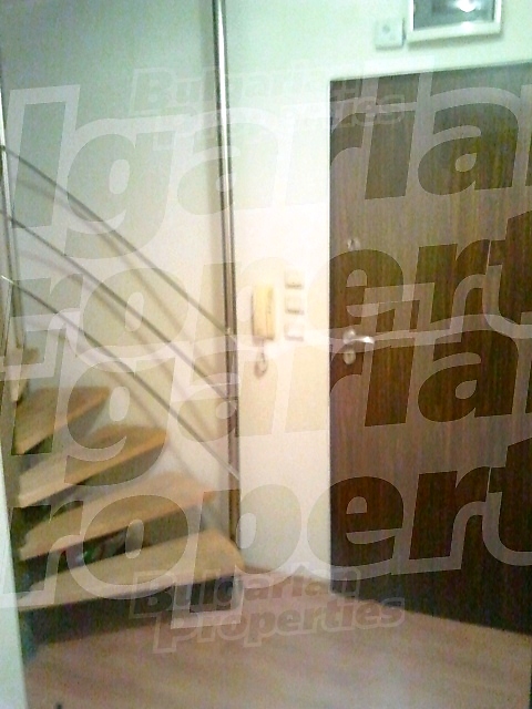 Gallery Picture 7