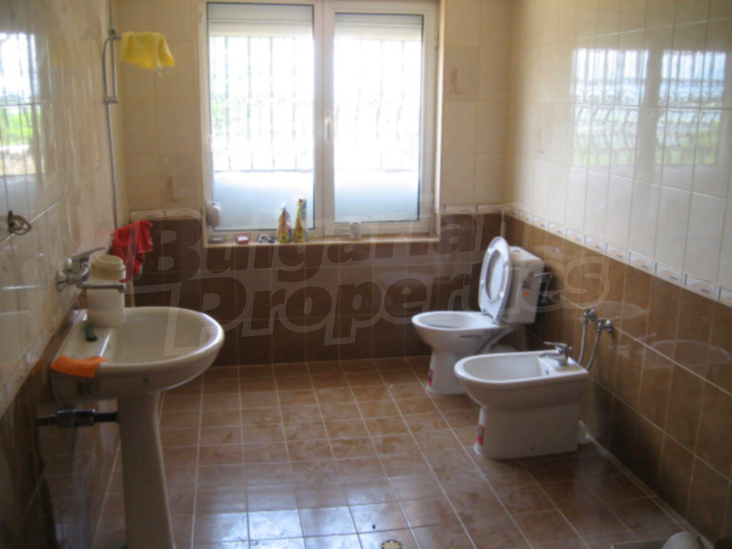 Gallery Picture 10