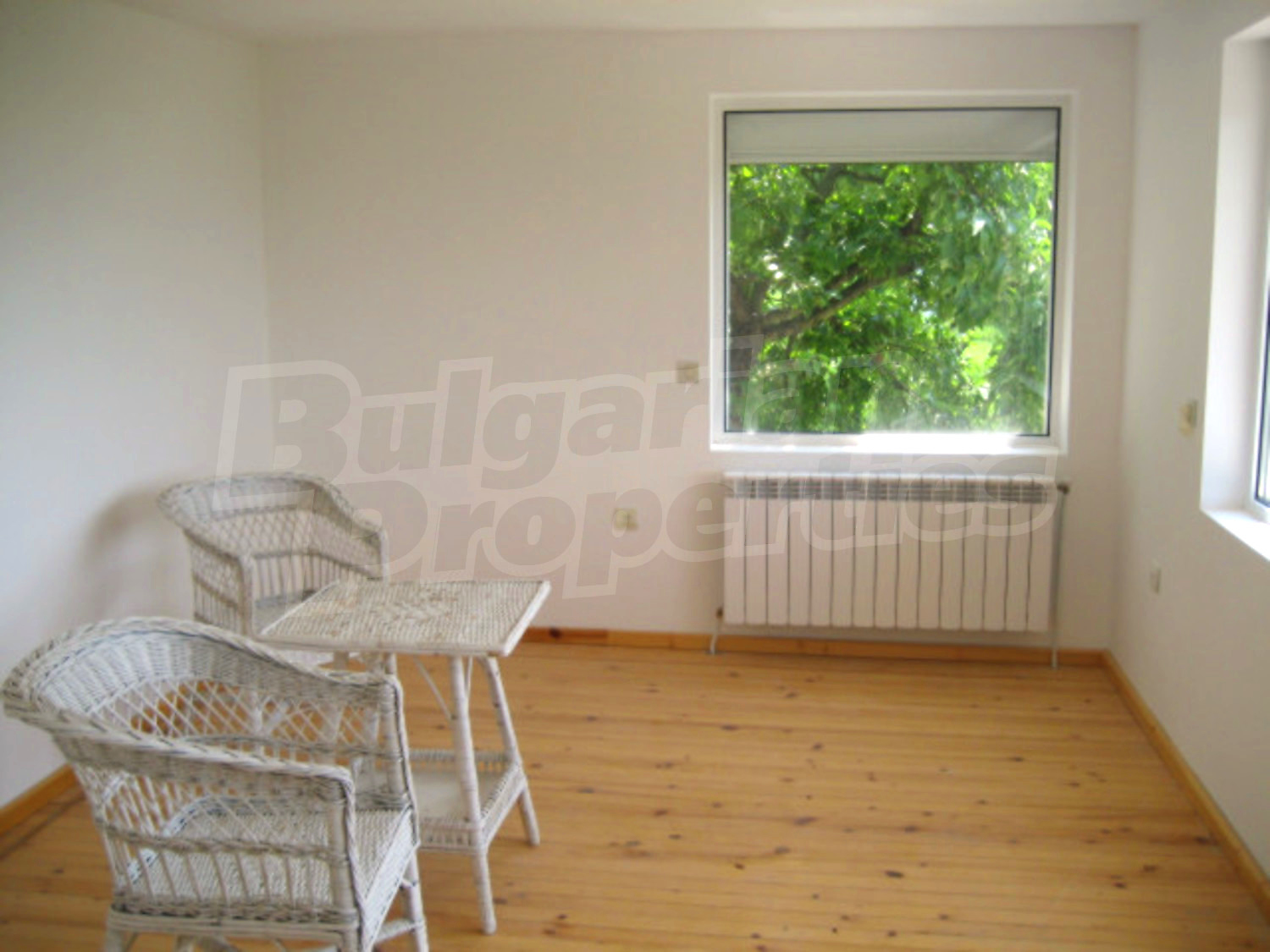 Gallery Picture 11