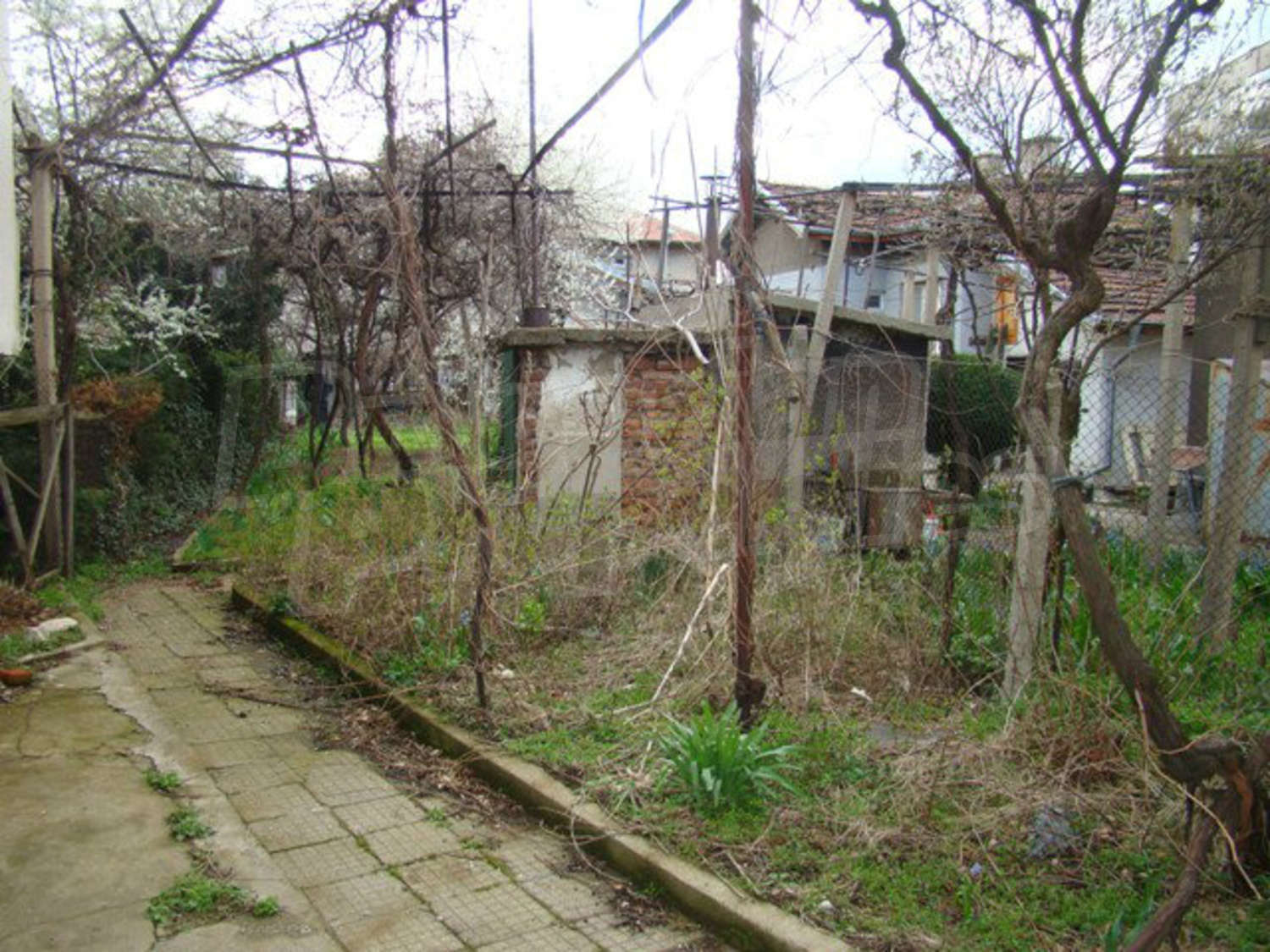Gallery Picture 4