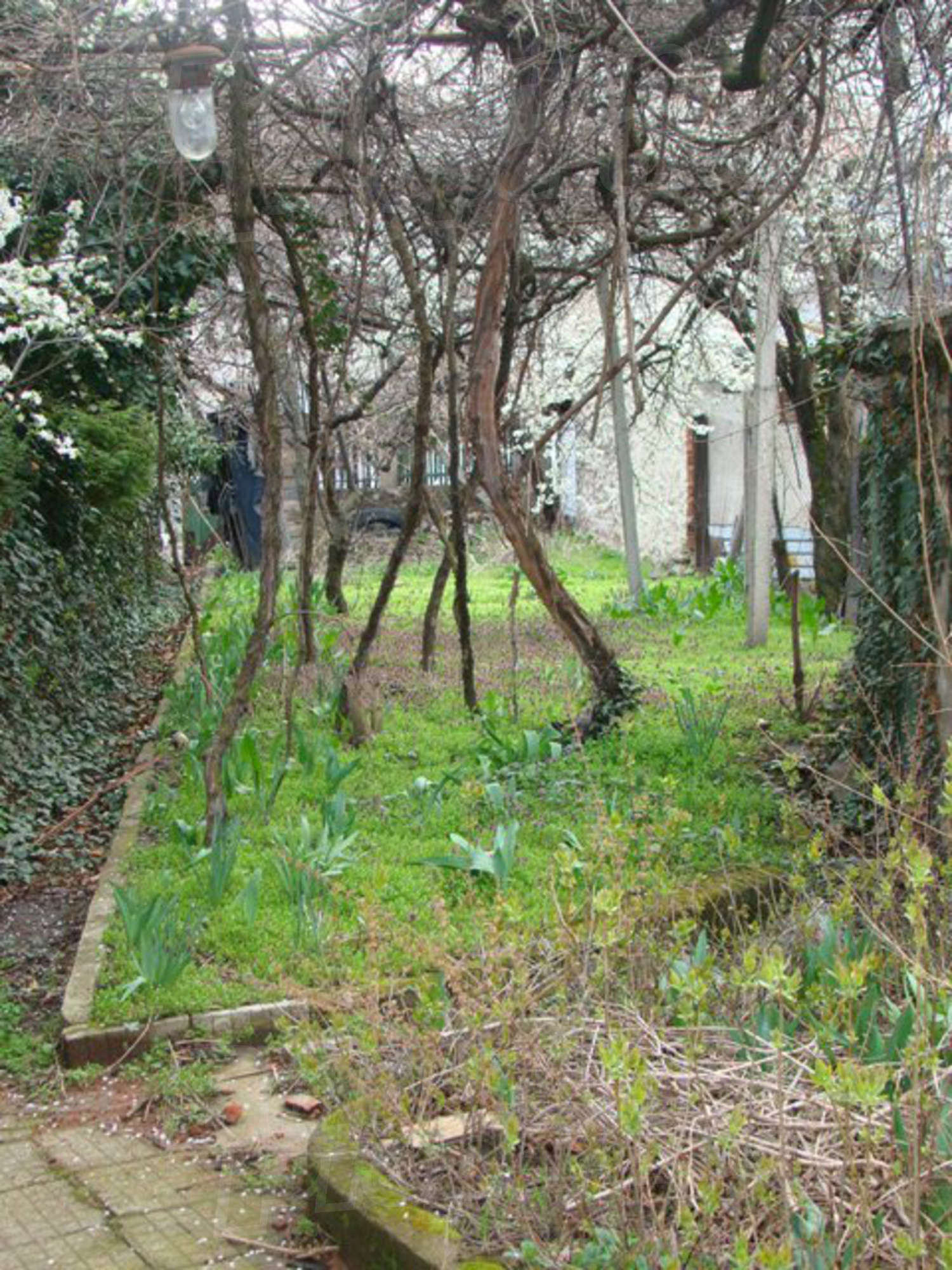 Gallery Picture 5