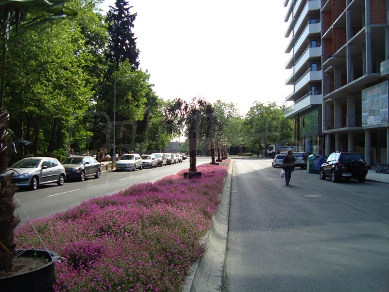 Gallery Picture 10
