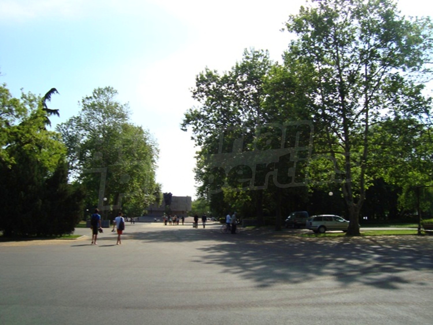 Gallery Picture 11
