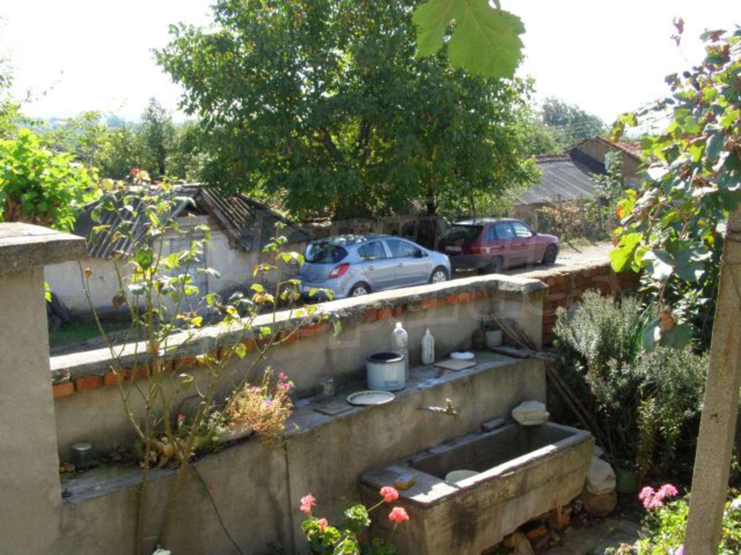 Gallery Picture 17