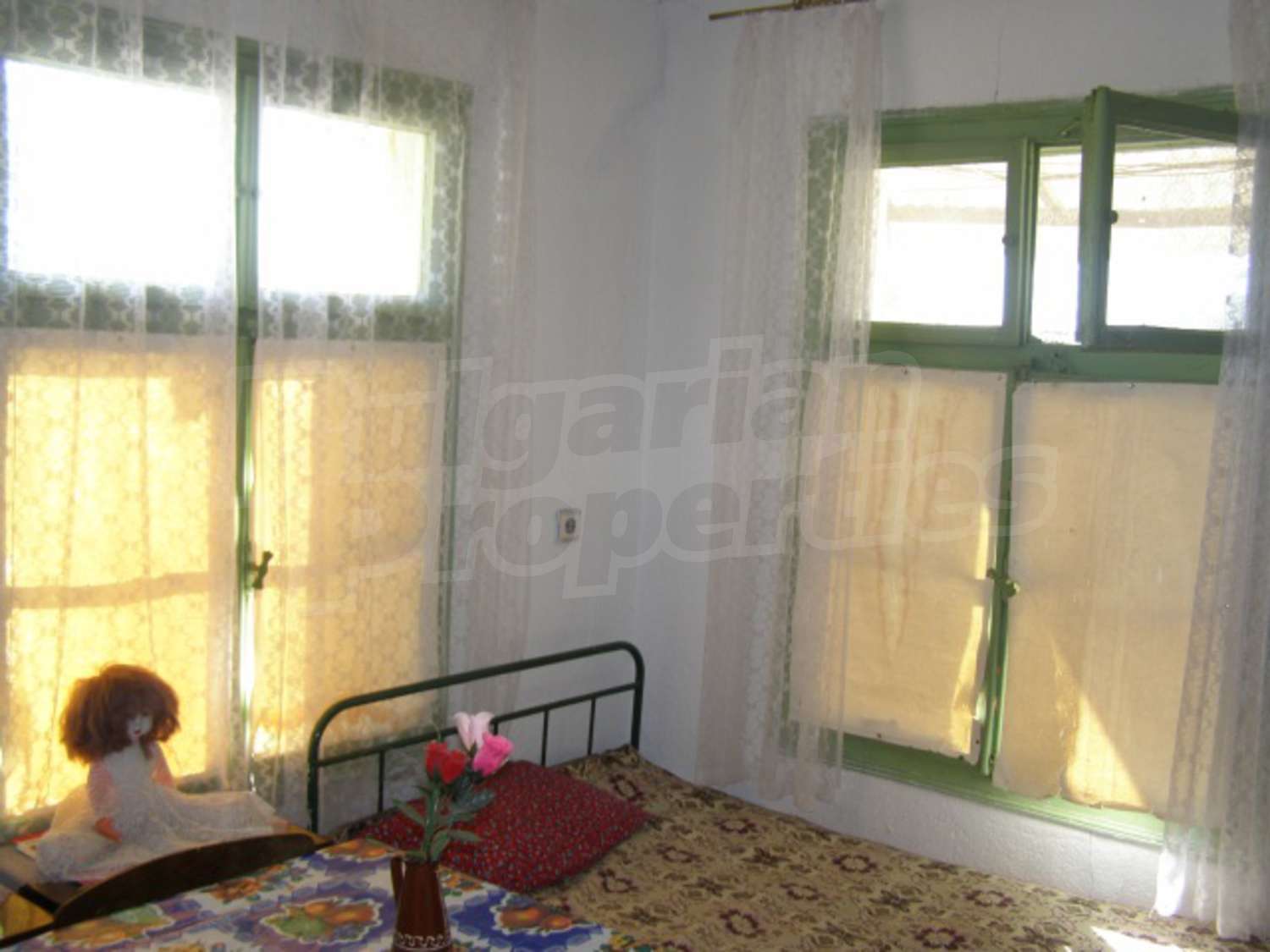 Gallery Picture 19