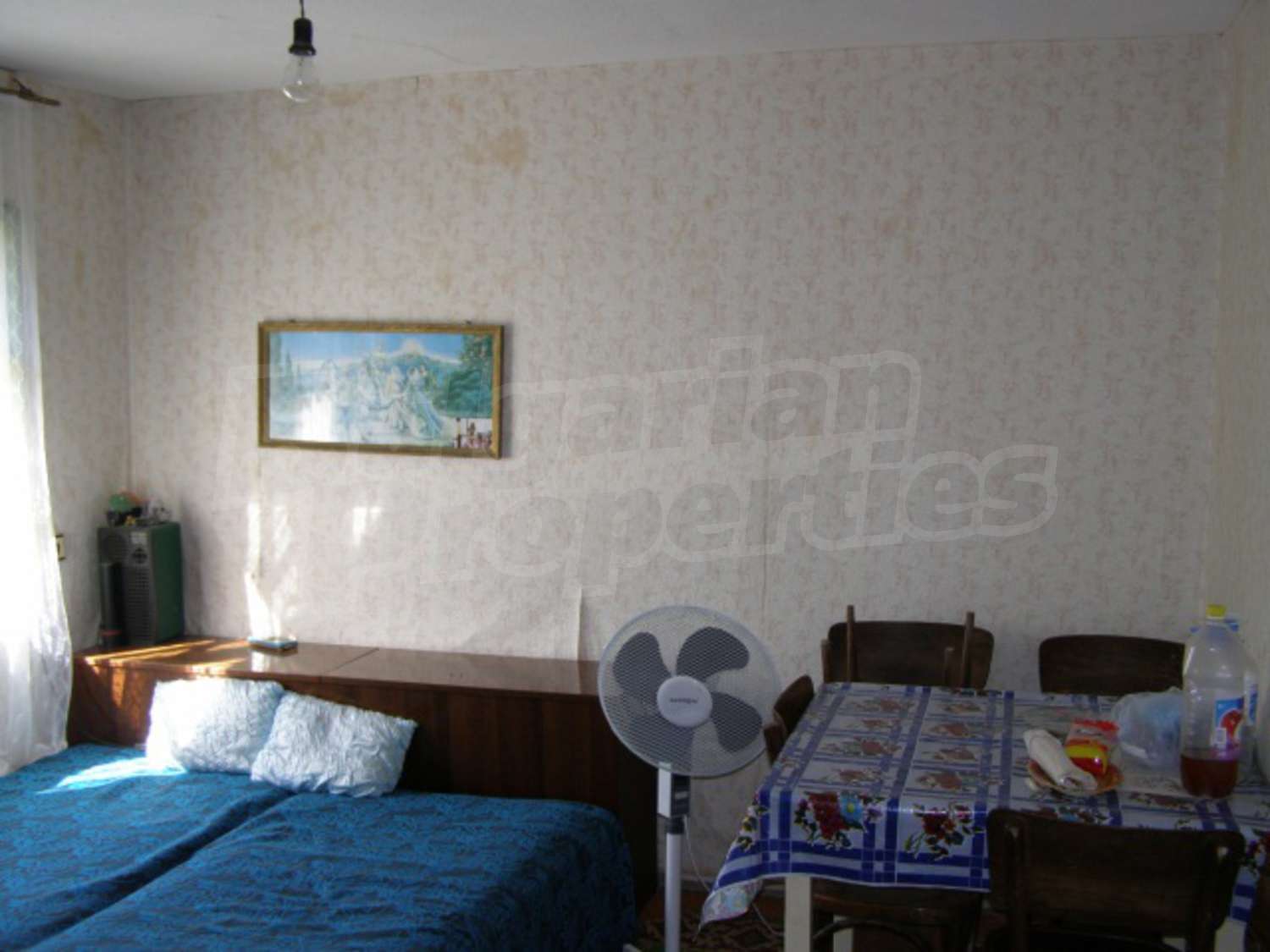 Gallery Picture 21