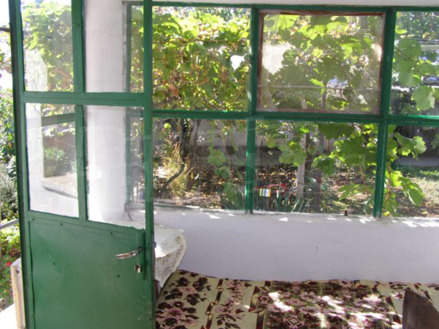 Gallery Picture 23