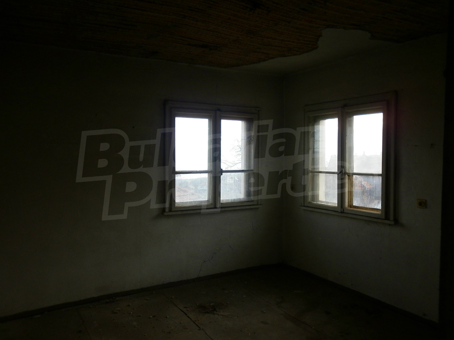 Gallery Picture 11