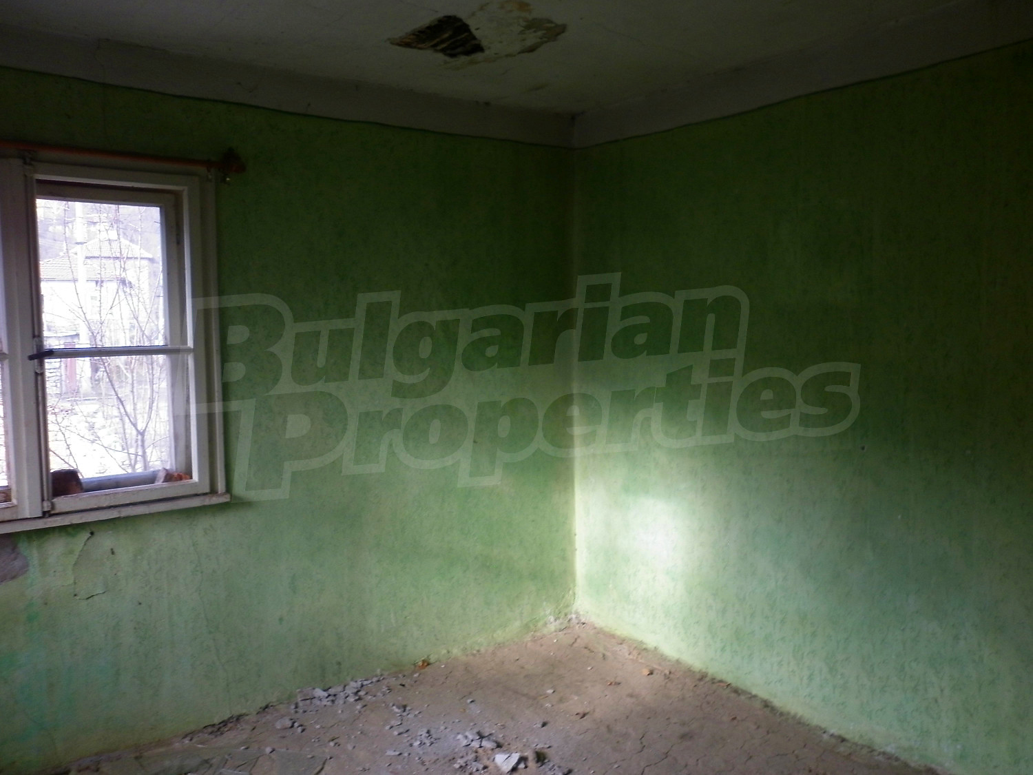 Gallery Picture 14