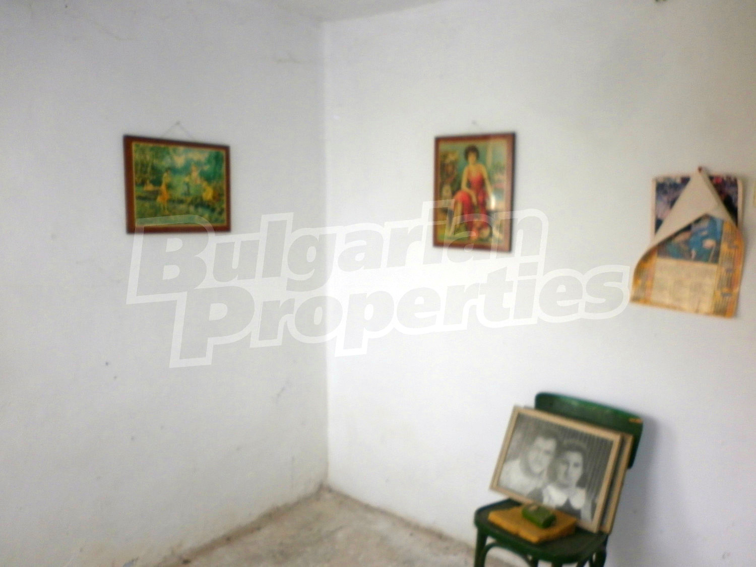 Gallery Picture 7