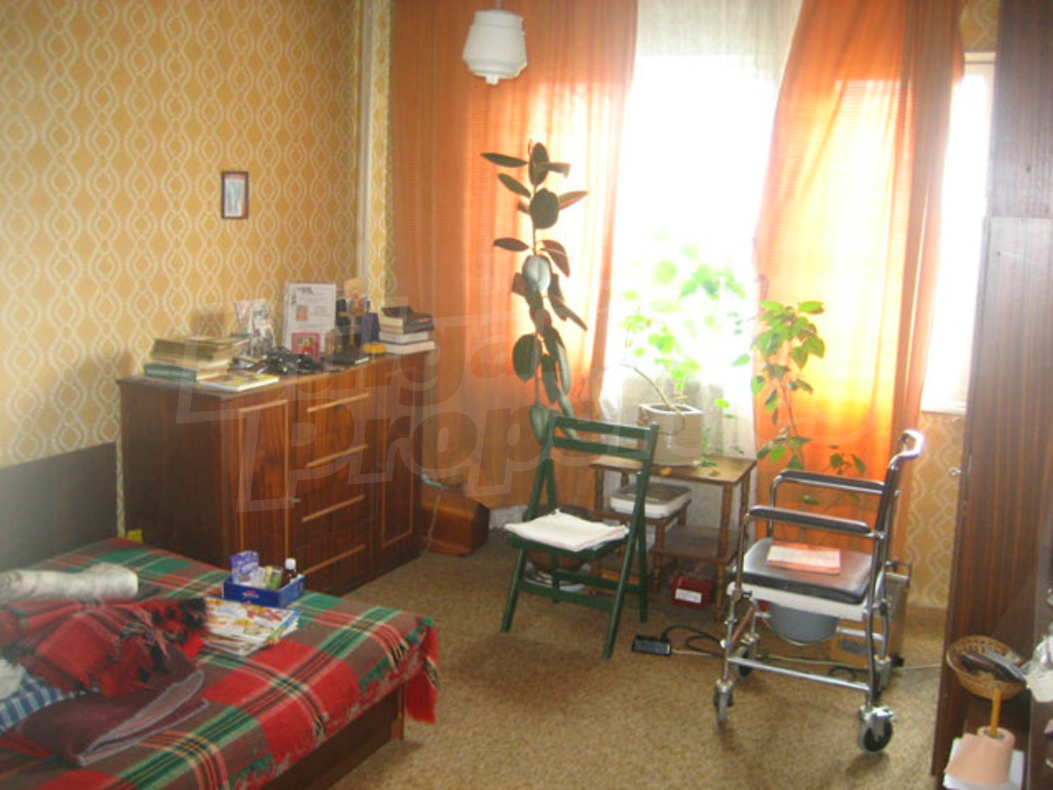 Gallery Picture 10