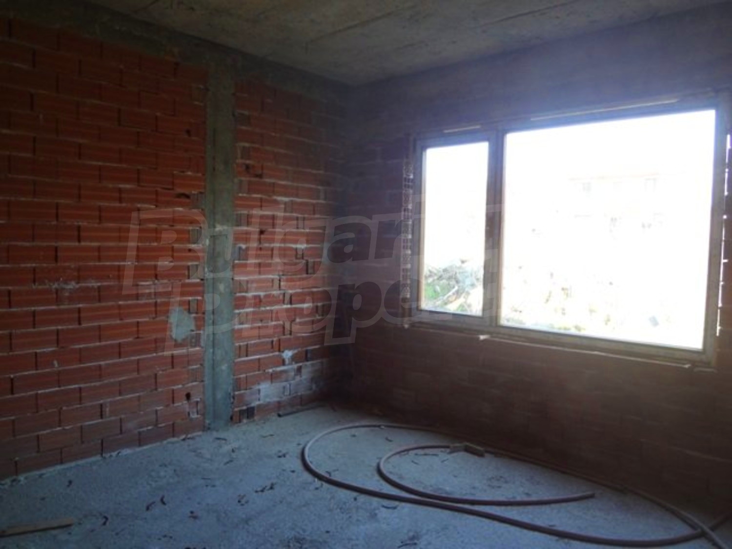 Gallery Picture 8
