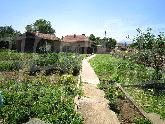 Gallery Picture 17