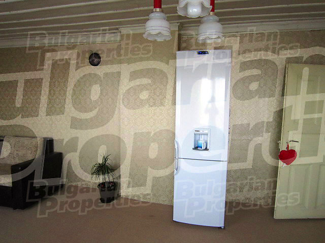 Gallery Picture 20