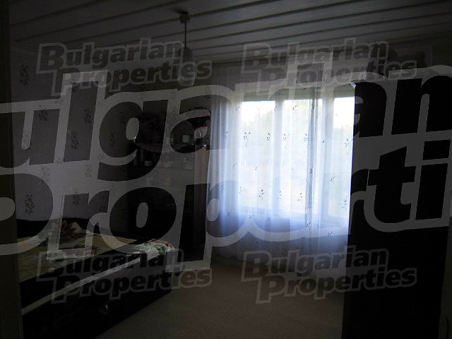 Gallery Picture 26
