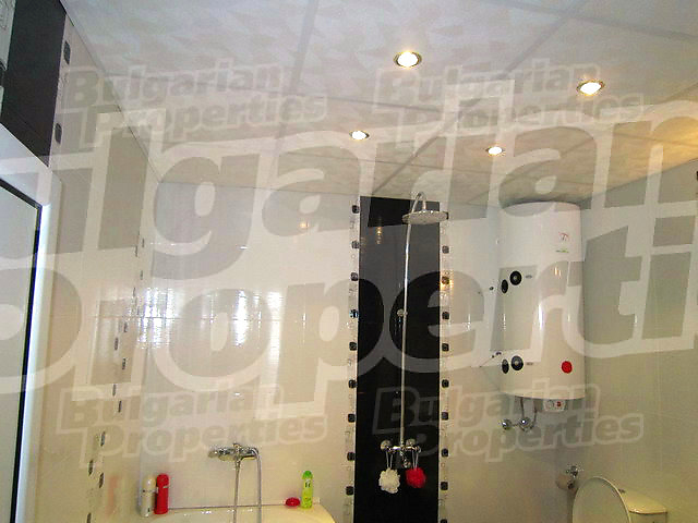 Gallery Picture 29