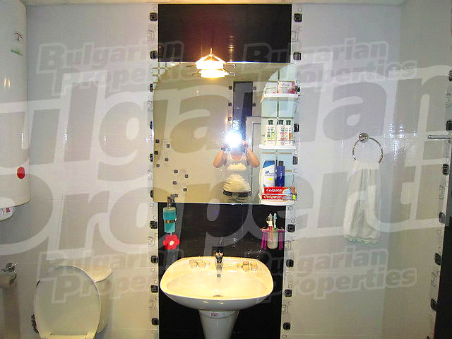 Gallery Picture 31