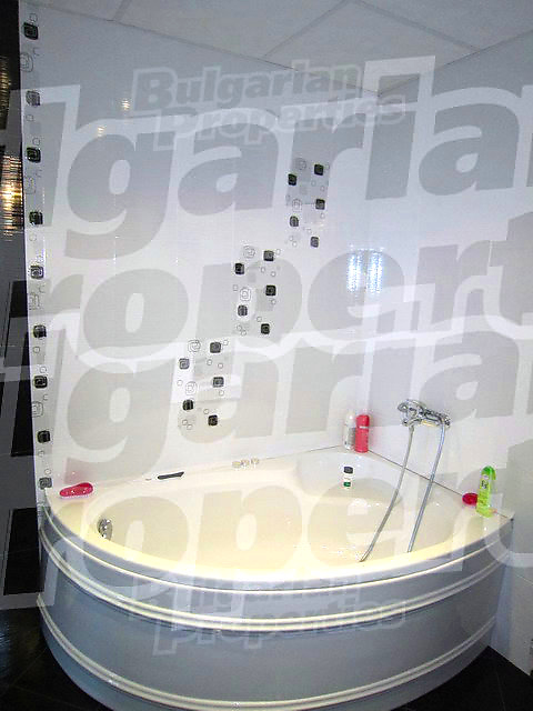 Gallery Picture 33