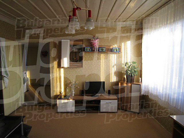 Gallery Picture 37