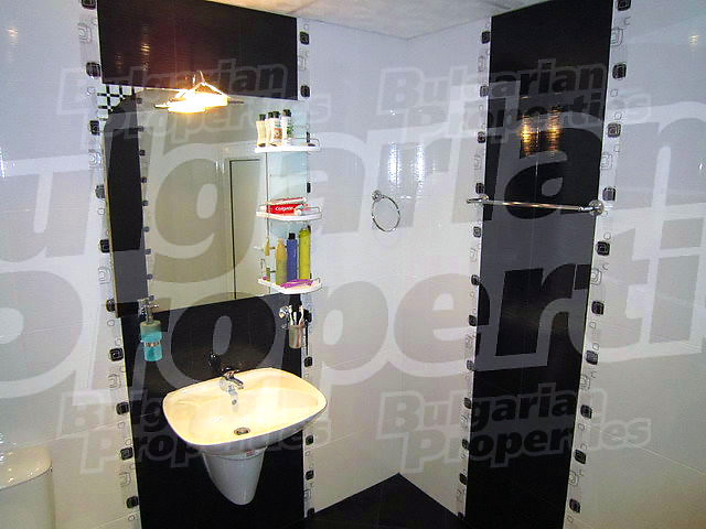 Gallery Picture 8