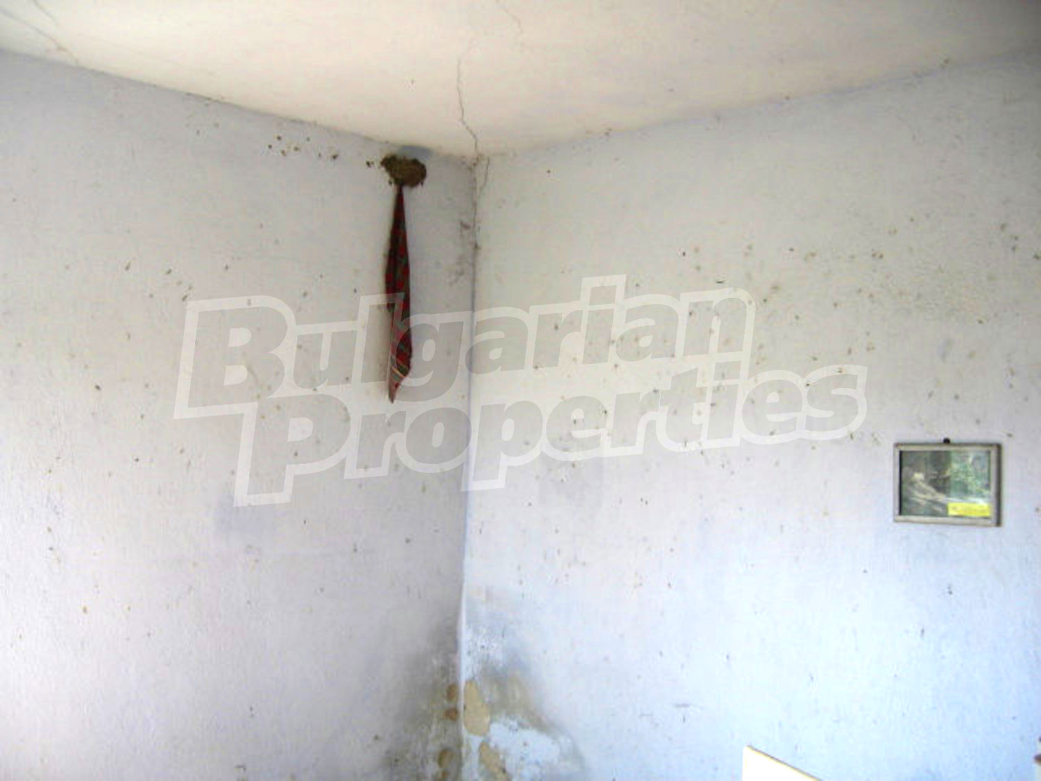Gallery Picture 10