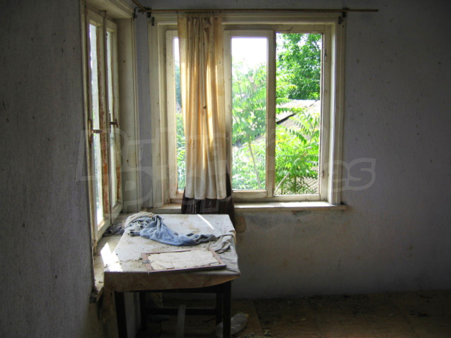 Gallery Picture 11
