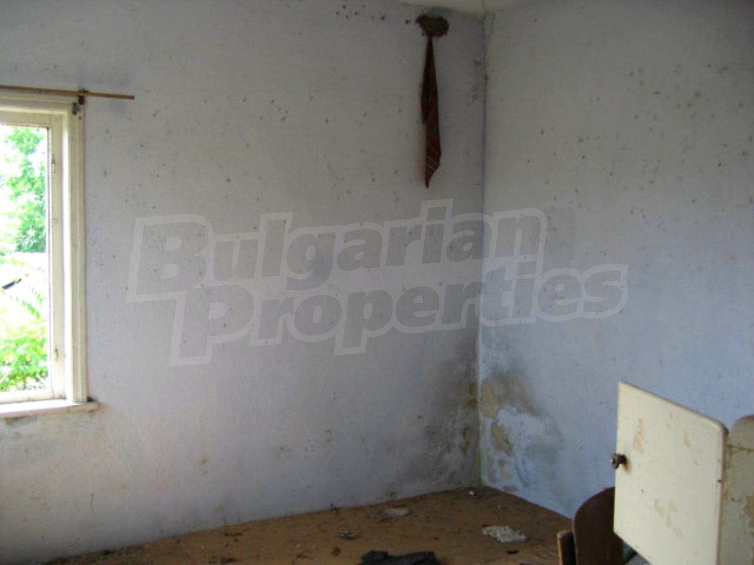 Gallery Picture 16